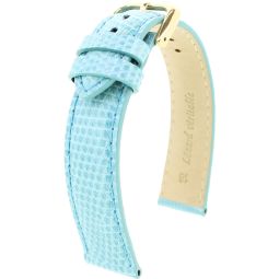  lézard véritable RF turquoise
