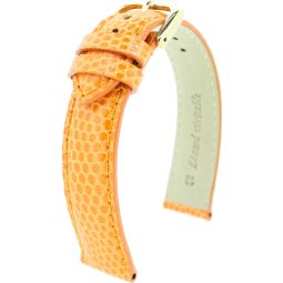  lézard véritableRF orange