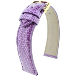  lézard véritable RF violette