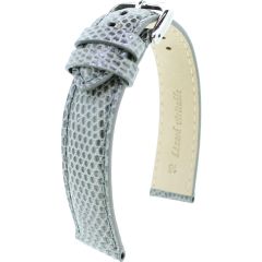 lézard véridable RF gris