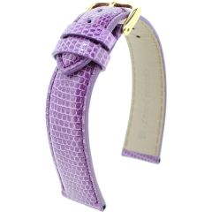  lézard véritable RF violette